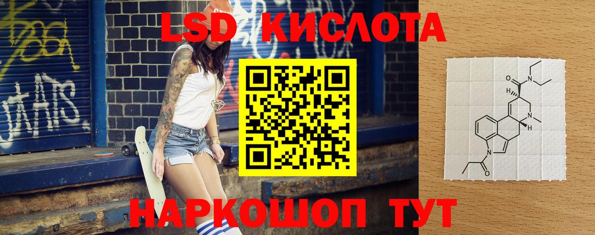 Псилоцибиновые грибы Сунжа