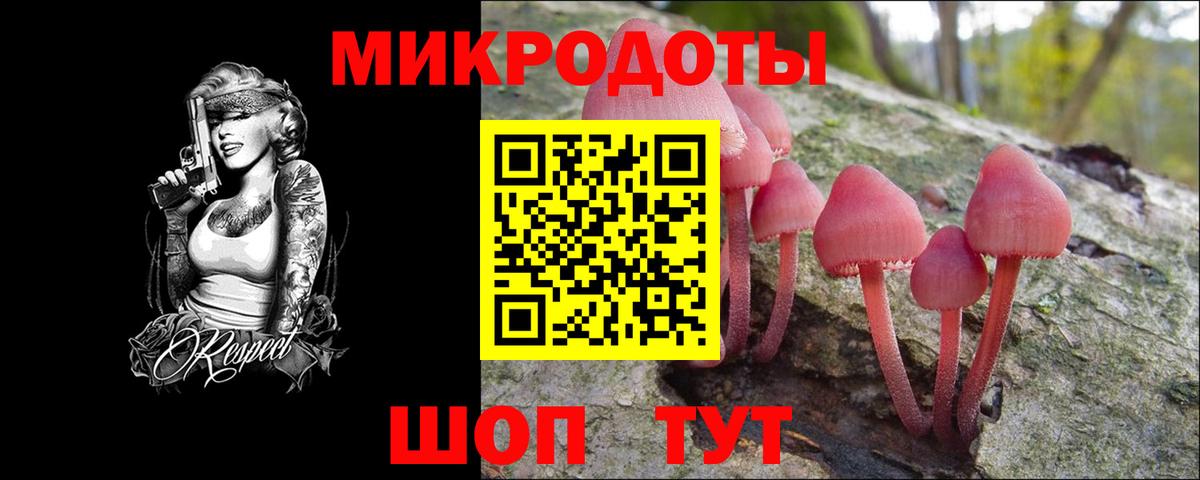 Псилоцибиновые грибы мухоморы Сунжа