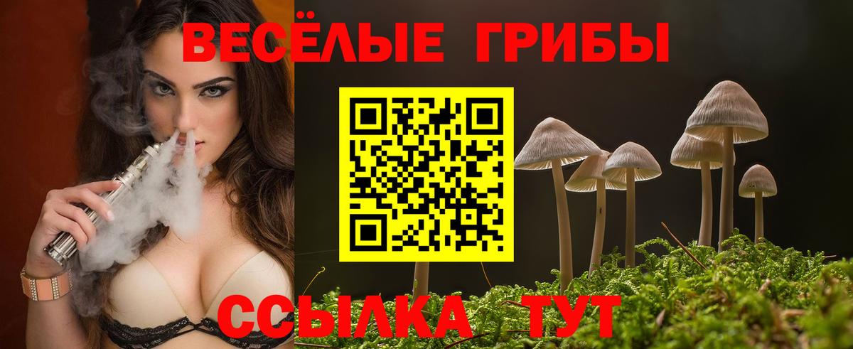 купить   Псилоцибиновые грибы прущие грибы  Вход с VPN  Сунжа  Галлюциногенные грибы мицелий 